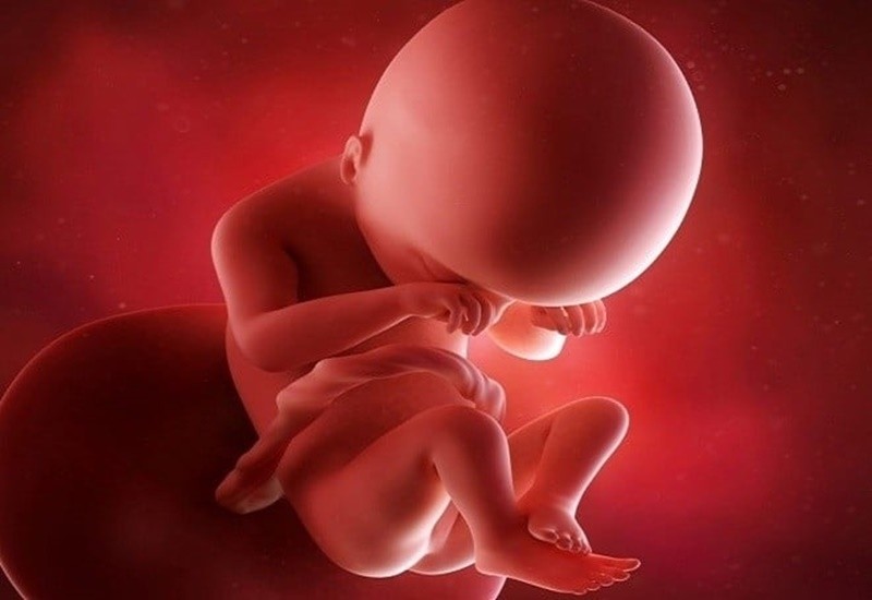 Mang thai tuần 19 mẹ bầu có những thay đổi gì và bé phát triển ra sao?